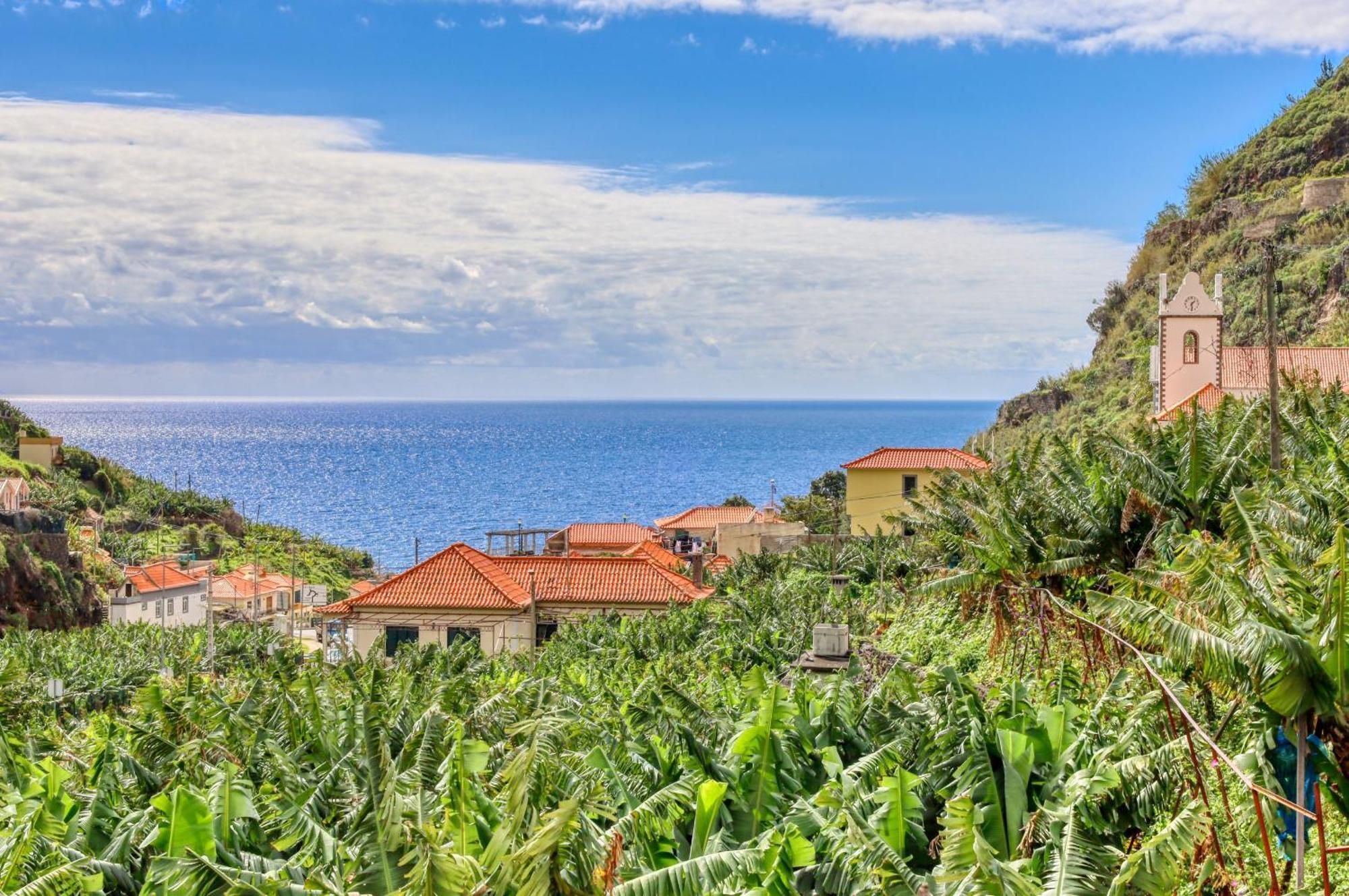 Casa Da Praia, A Home In Madeira Ribeira Brava Exteriér fotografie